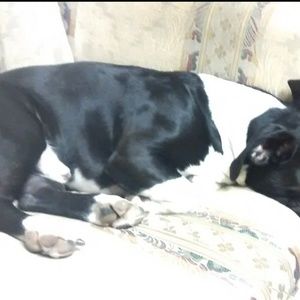 Meet your Posher, Jack